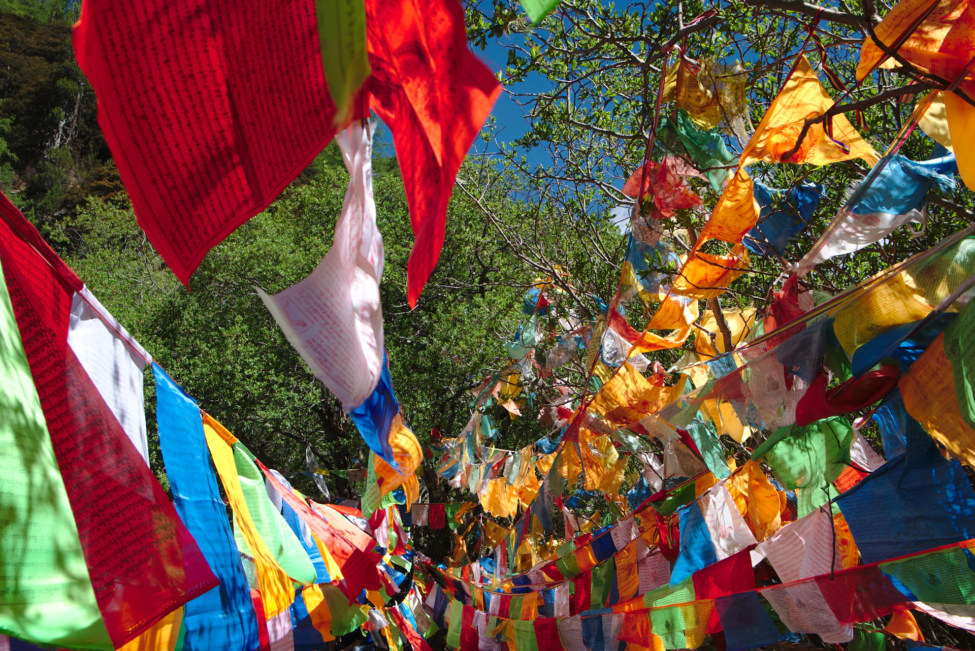 gray computer monitor