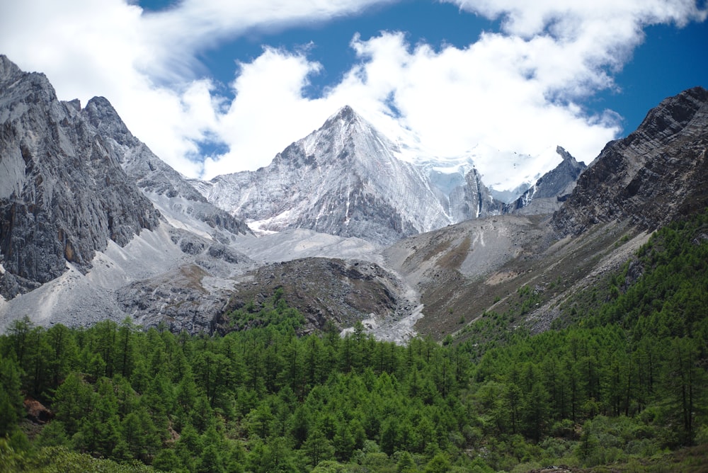 Grüne Bäume in der Nähe eines schneebedeckten Berges unter blauem Himmel während des Tages