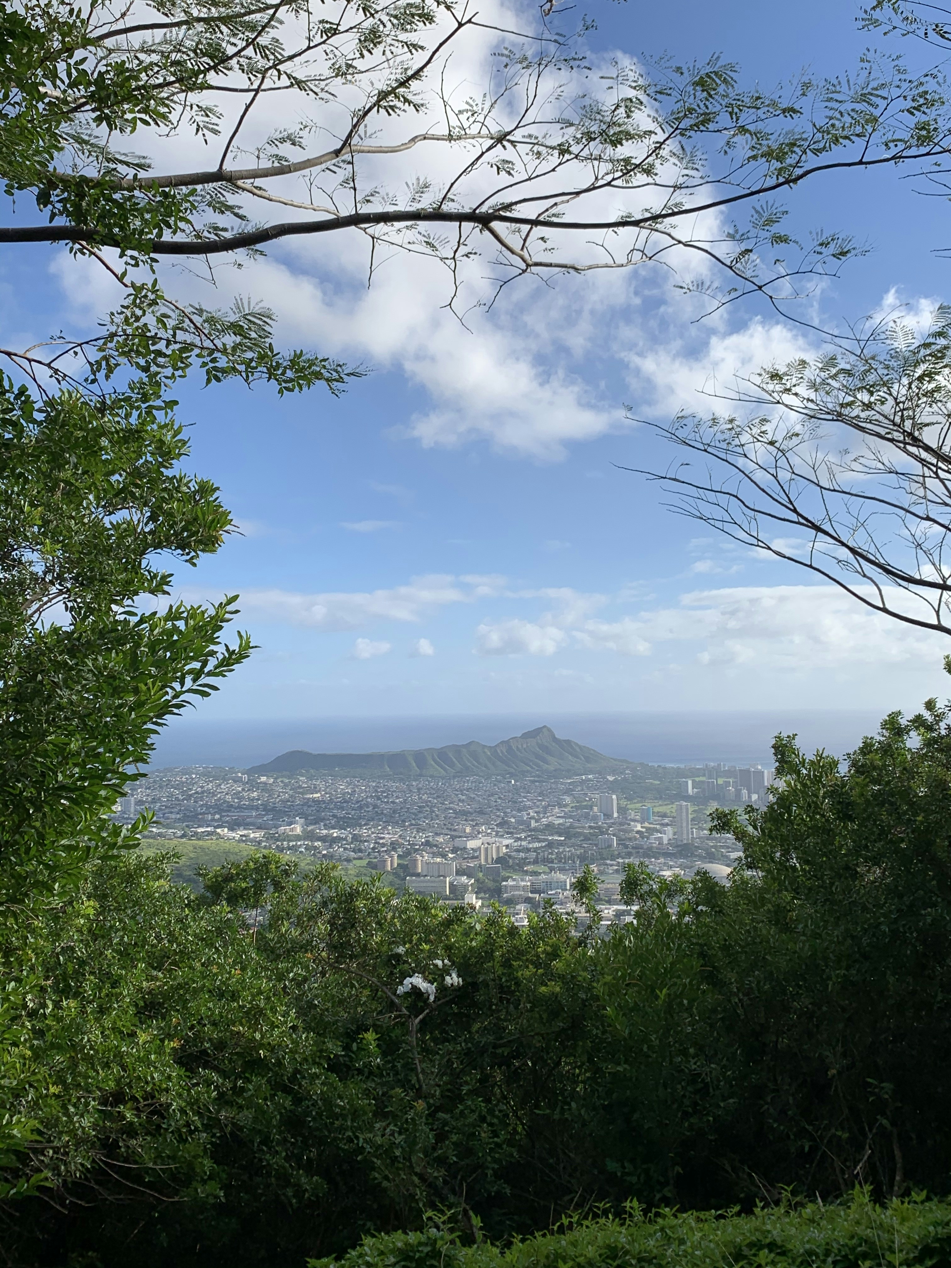 Photo by tomceacpeter