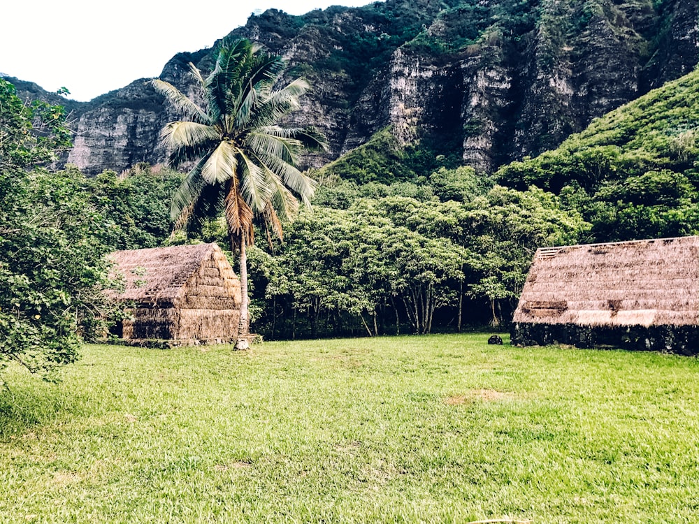 brown wooden house near green grass field and mountain