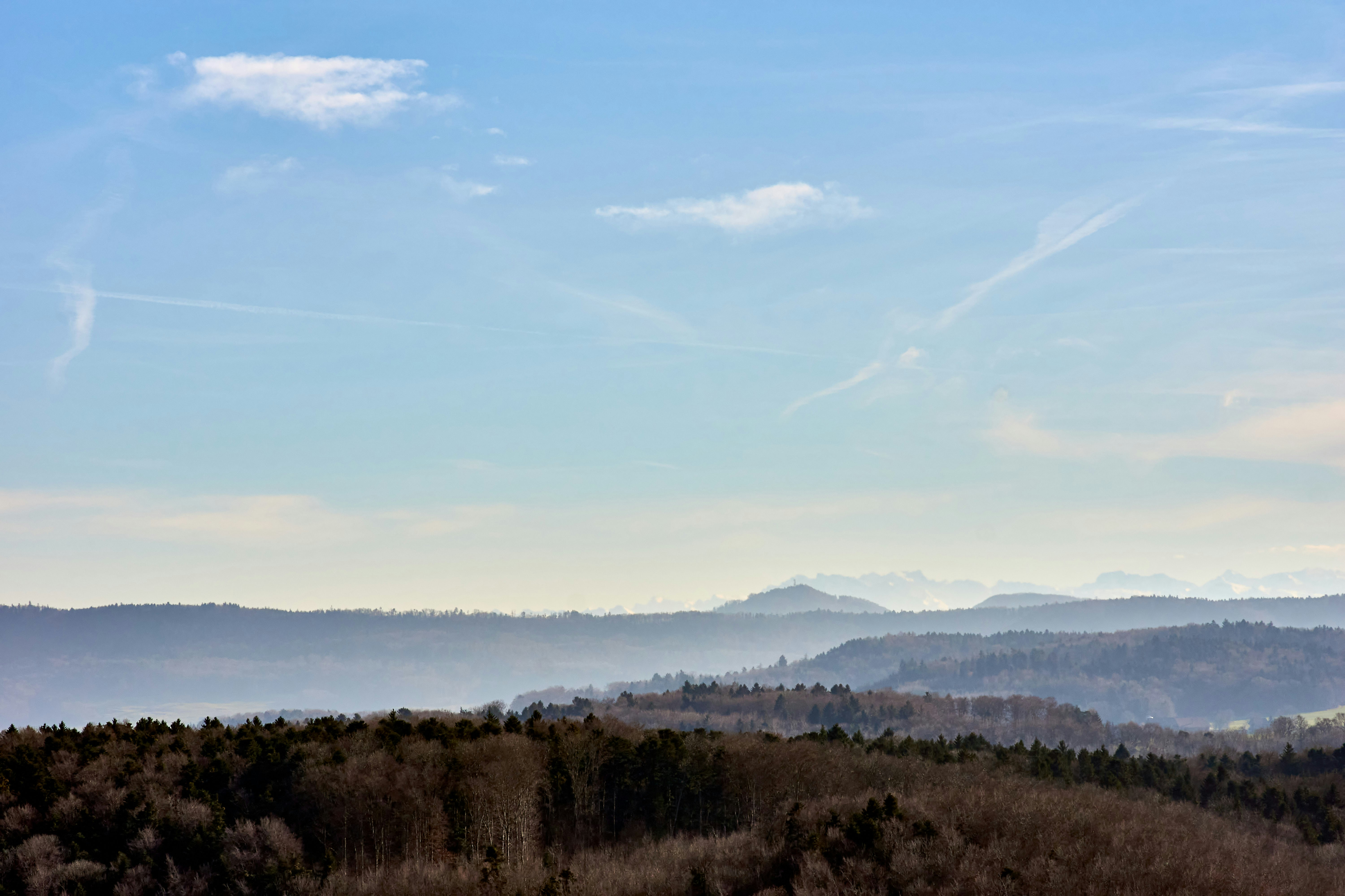 Photo by wolfgang_hasselmann