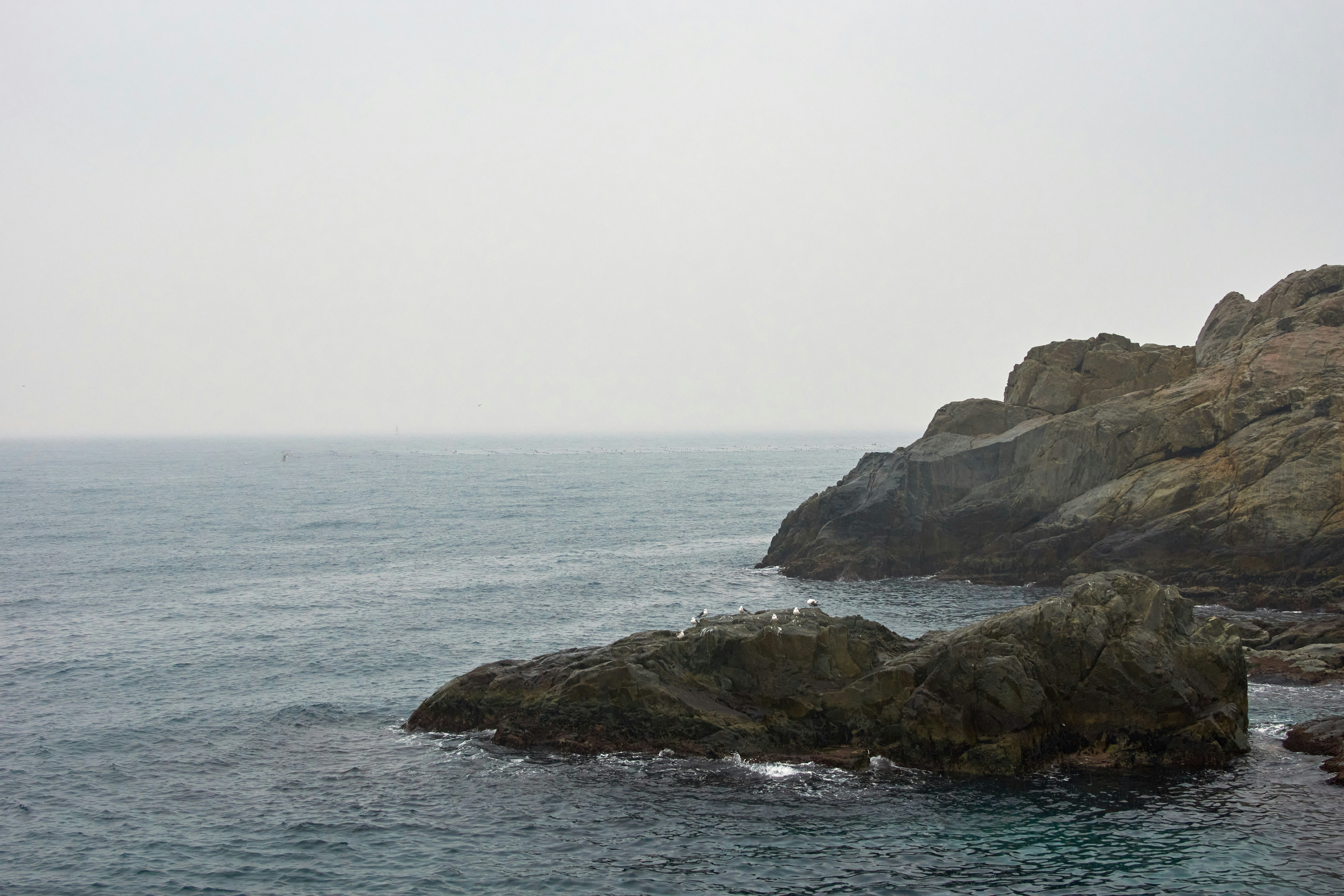 Photo by wolfgang_hasselmann