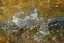 Close-up of shimmering gold dust overlaid on rippling water surface.