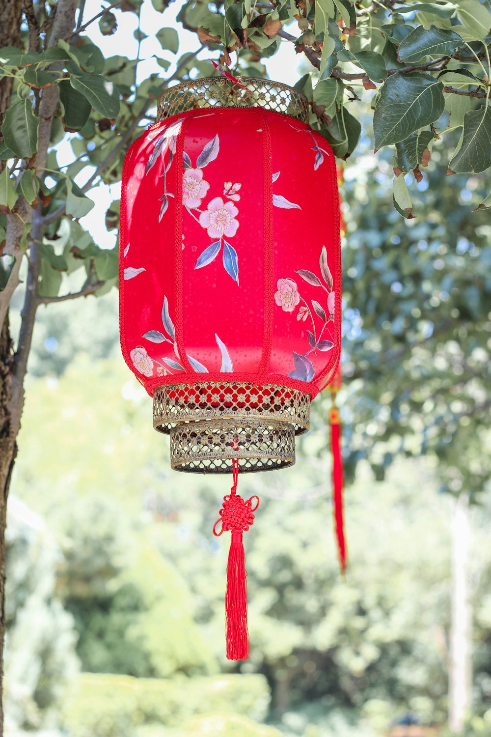red and white hanging lantern