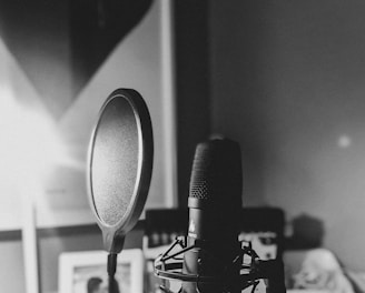 black and white photo of microphone