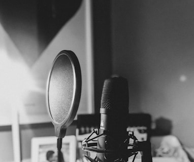 black and white photo of microphone