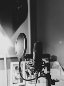 black and white photo of microphone
