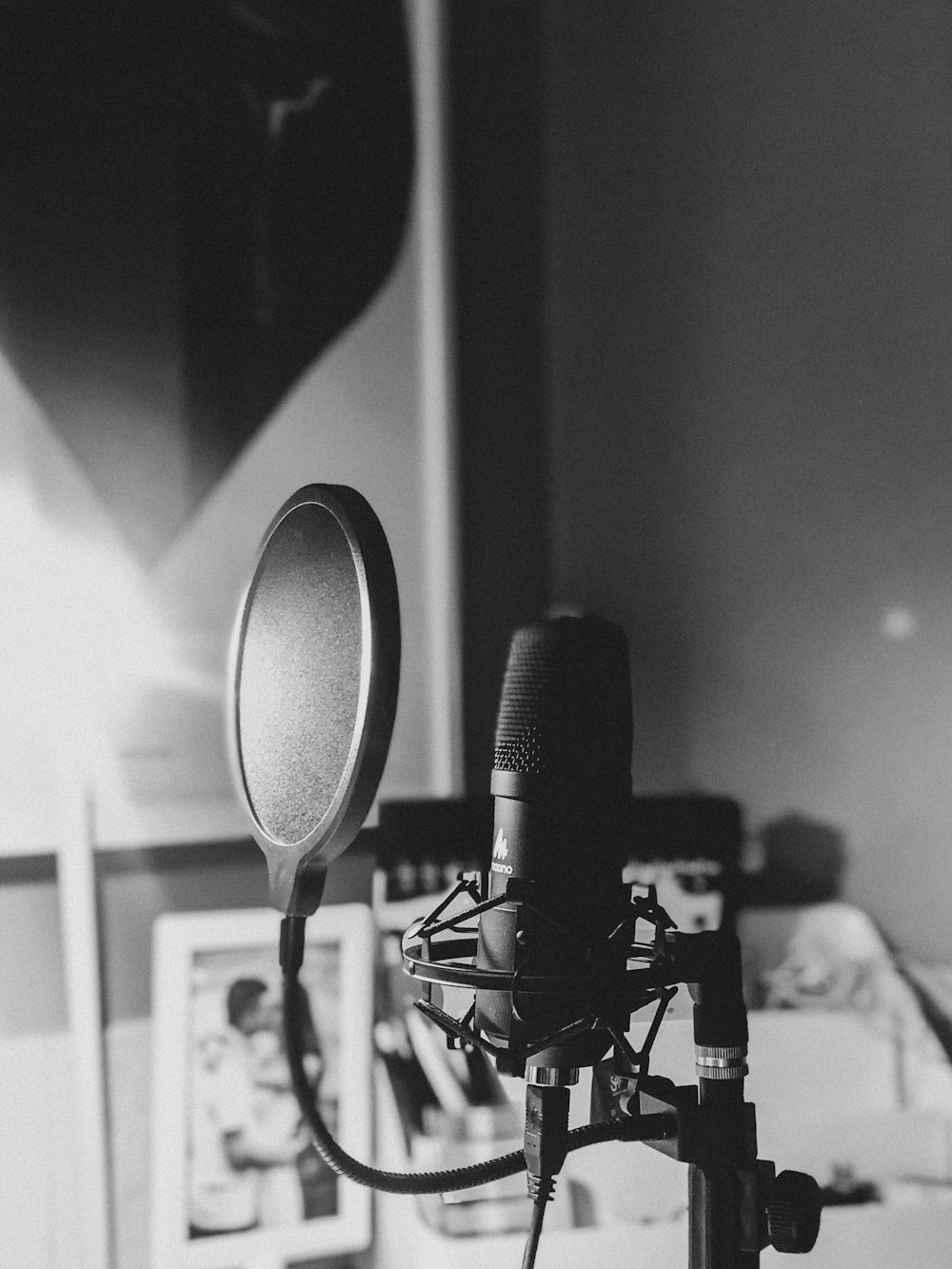 black and white photo of microphone