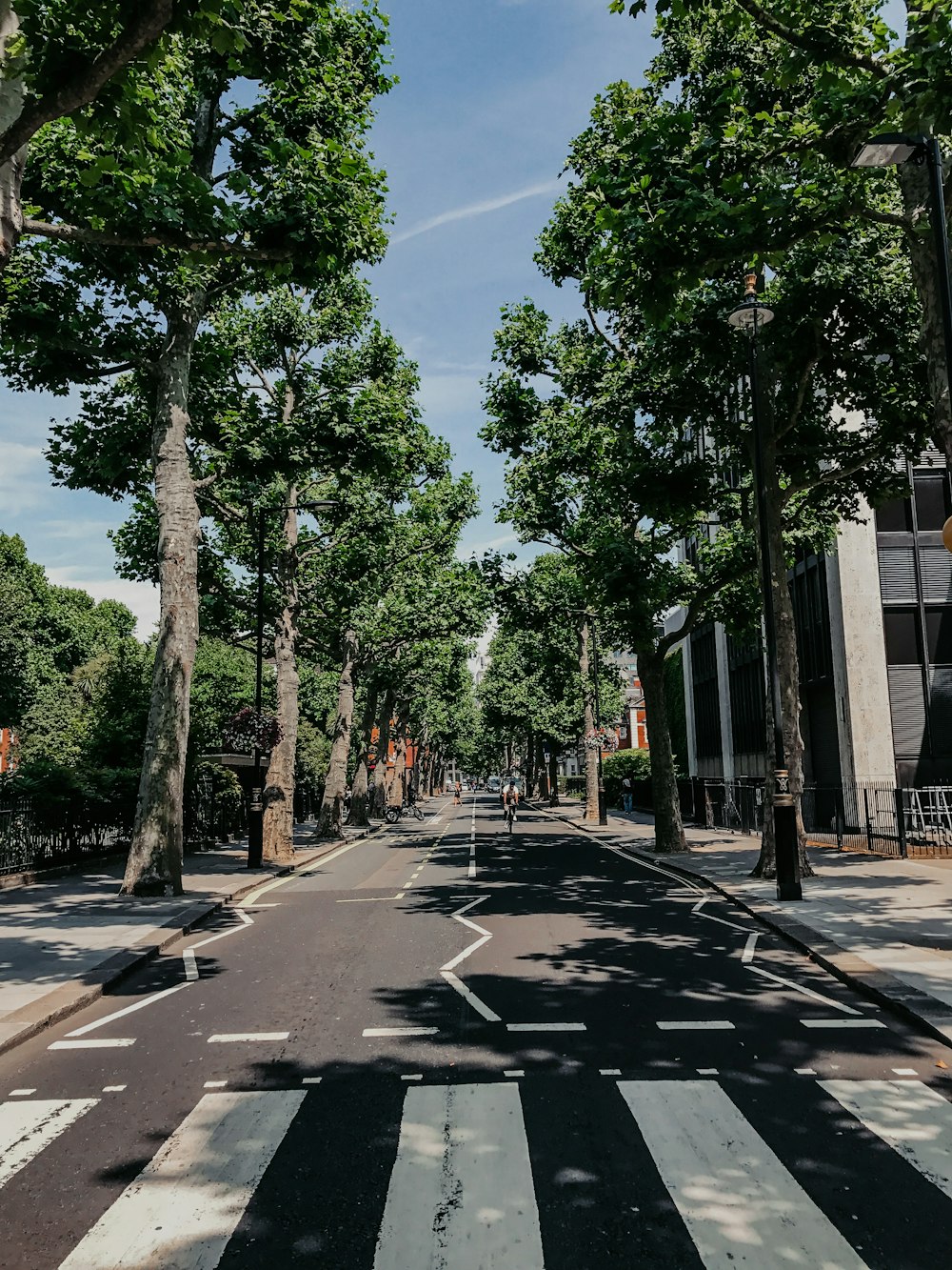 green trees near gray concrete building during daytime