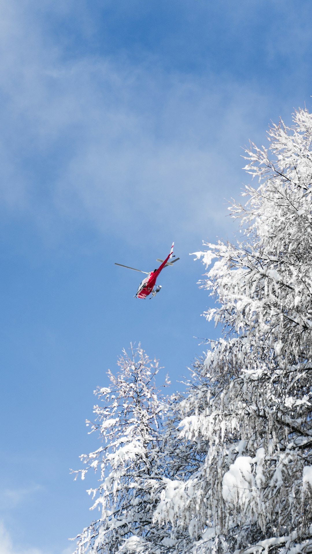 red and white airplane flying over white tree during daytime