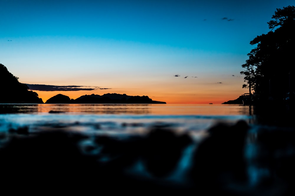 silhouette of bird flying over the sea during sunset