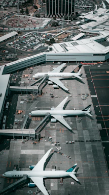 white and gray airplane on airport during daytime