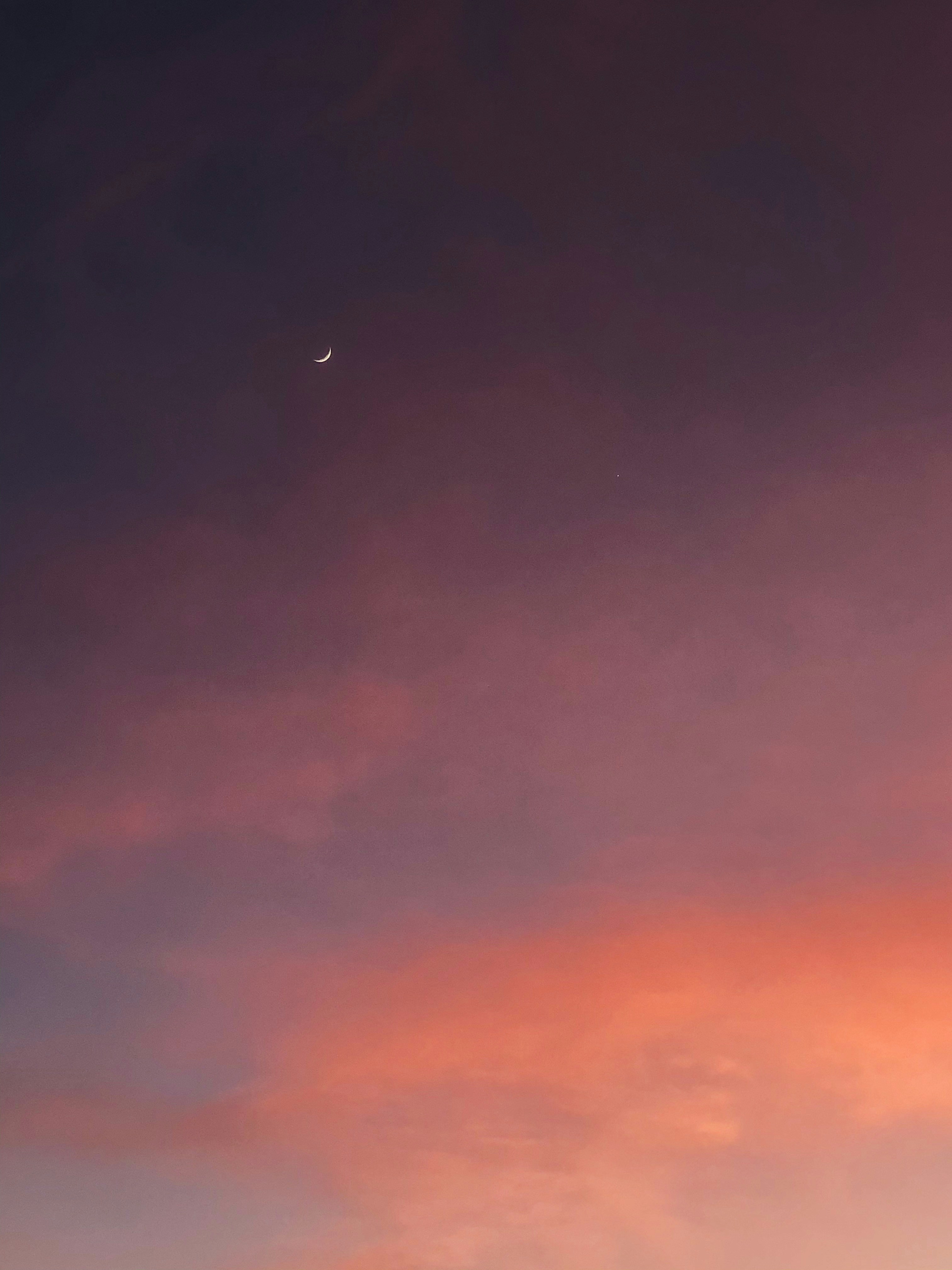 Photo by giorgiotrovato