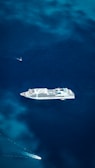 white and black ship on sea during daytime