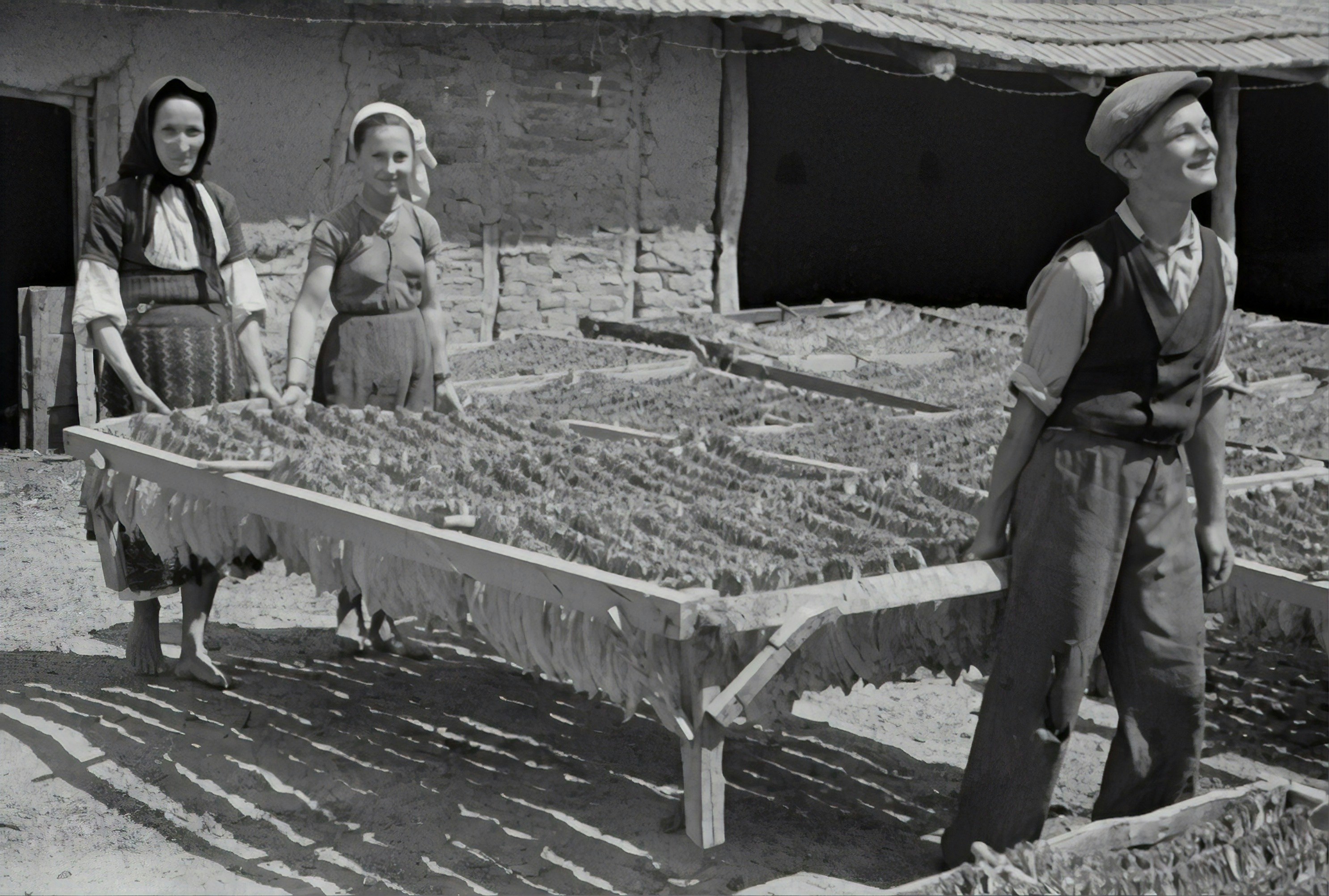 Casual Everyday Wear Collection