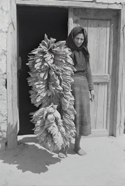 A woman stands barefoot outside a wooden door, wearing a headscarf and traditional clothing. She is holding a large bundle of tobacco leaves hanging from a pole. The setting appears to be rural, with a simple, rustic background.