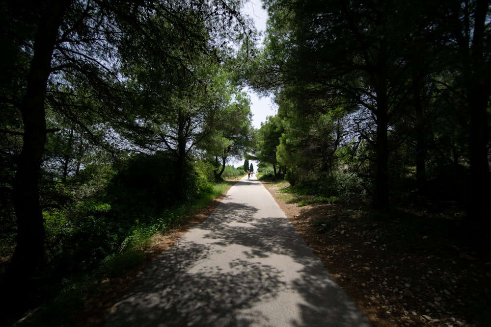 gray concrete road between green trees during daytime