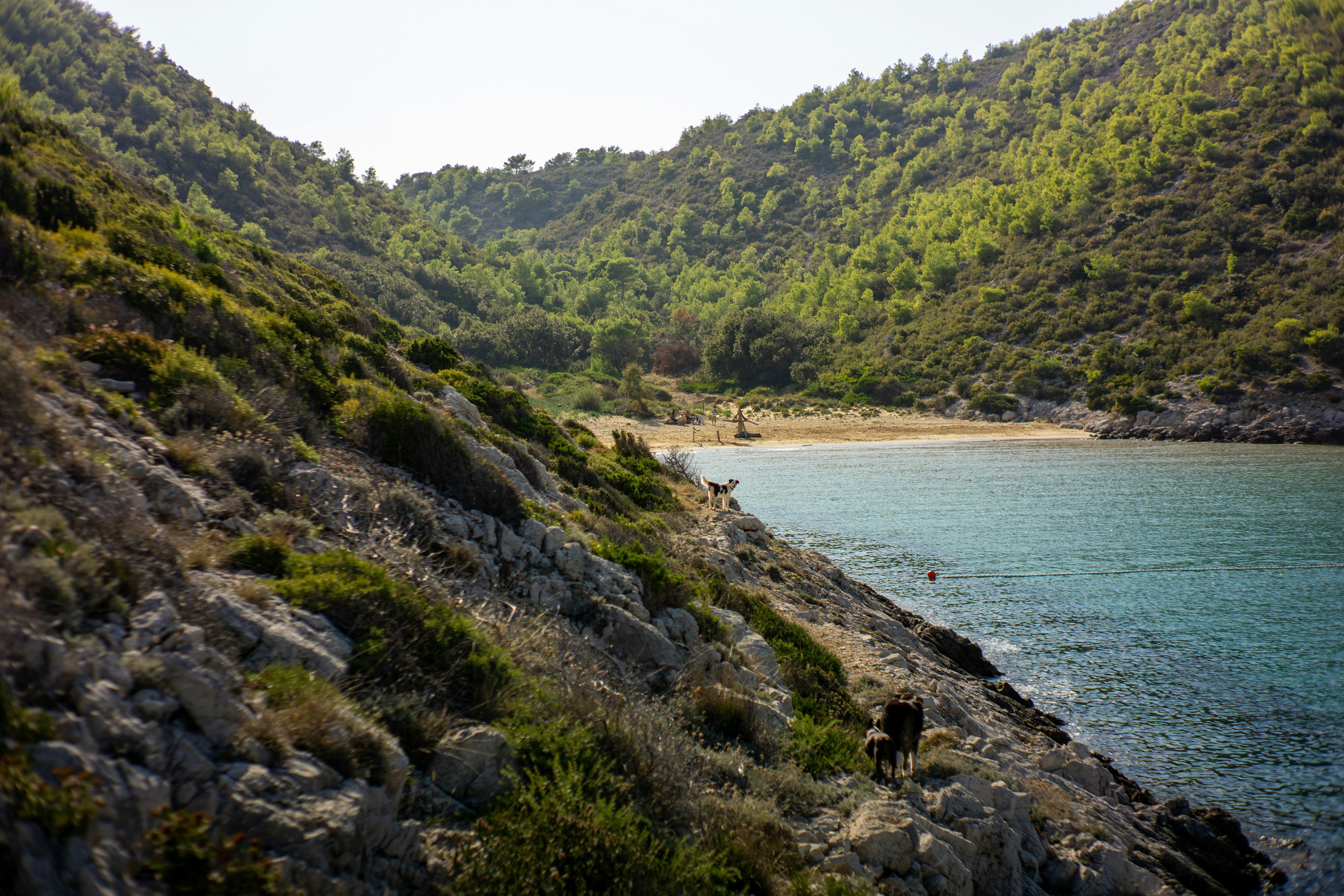 a group of people walking along a rocky shore