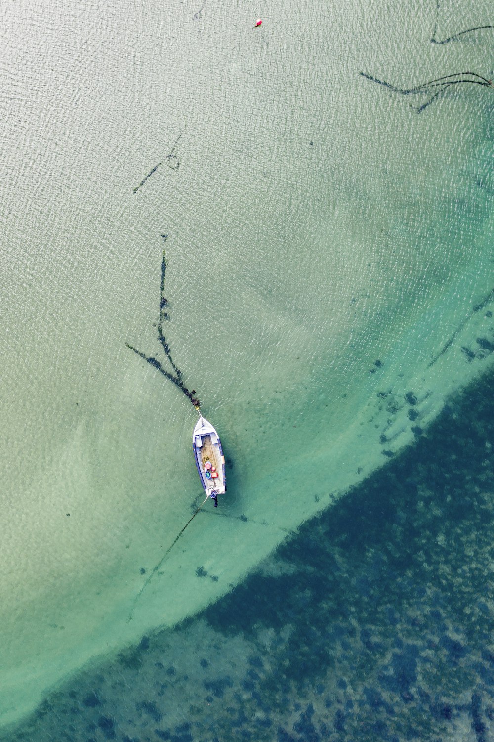 Barco blanco y azul en el cuerpo de agua durante el día