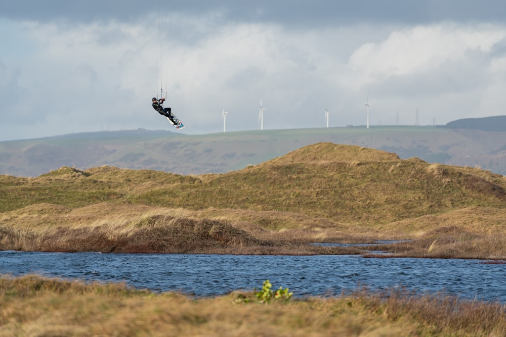 black bird flying over the sea during daytime