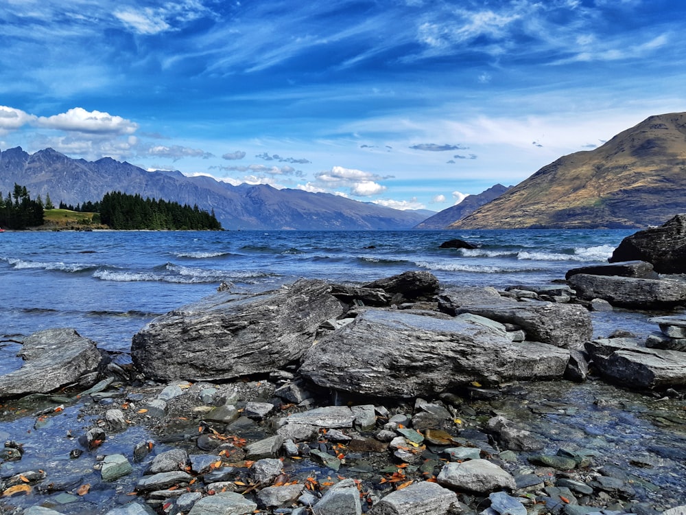 Rocky River in der Nähe von grünen Bäumen und Bergen unter blauem Himmel während des Tages