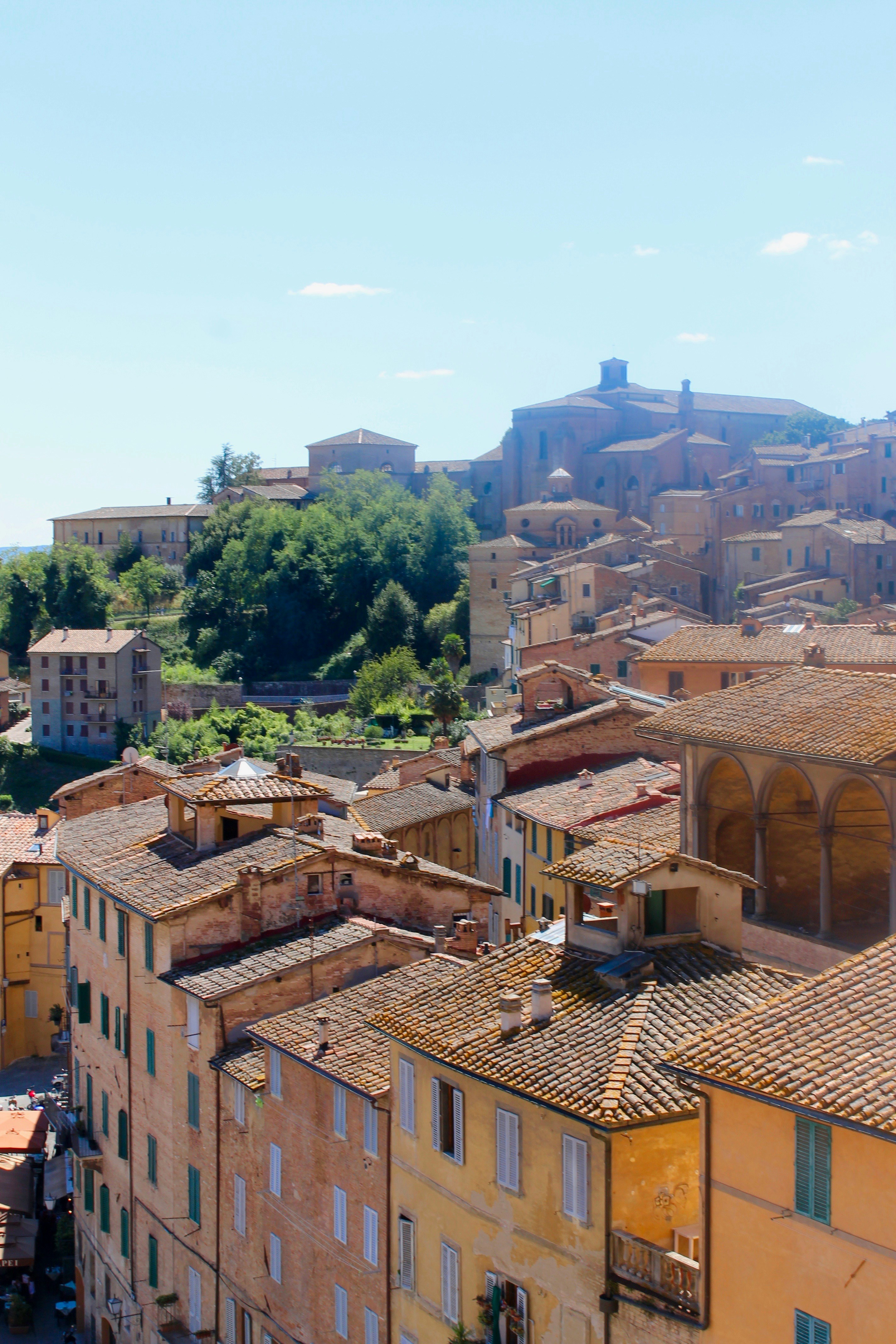 Photo by marie_rouilly