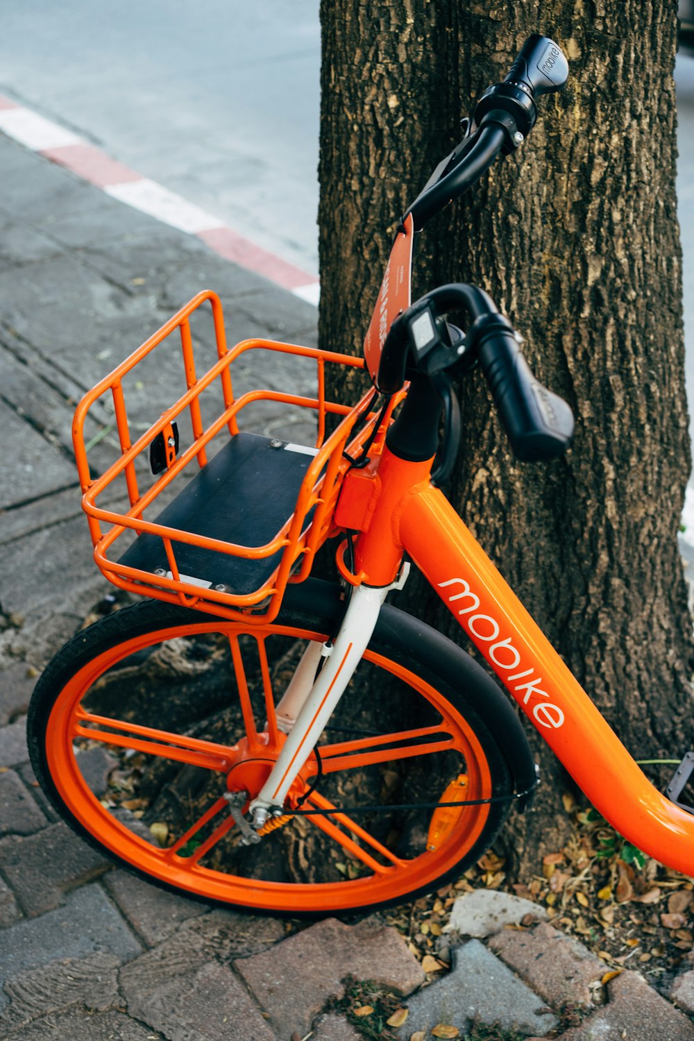 bicicleta laranja e preta apoiada no tronco marrom da árvore
