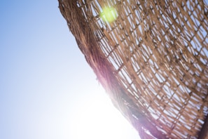 Close-up of a hand weaving a natural wicker basket with soft sunlight filtering through leaves