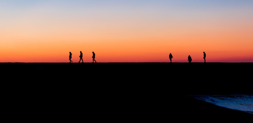 silhouette of 2 people walking on field during sunset