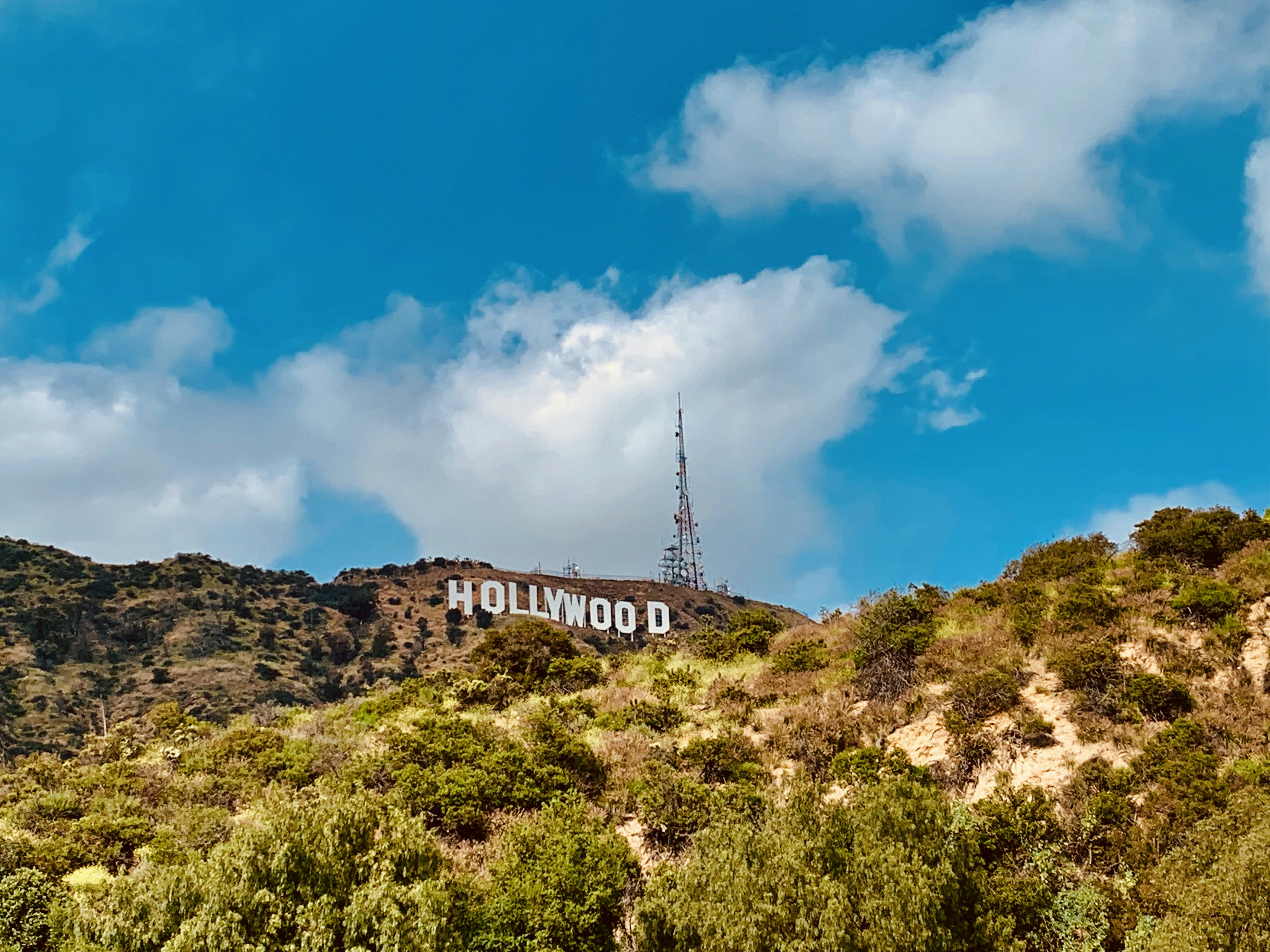 green grass field under blue sky and white clouds during daytime, 