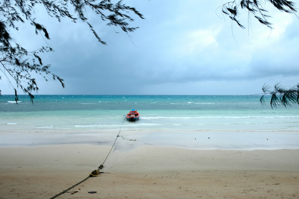 person in red shirt standing on beach during daytime