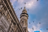 low angle photography of flock of birds flying over the building during daytime
