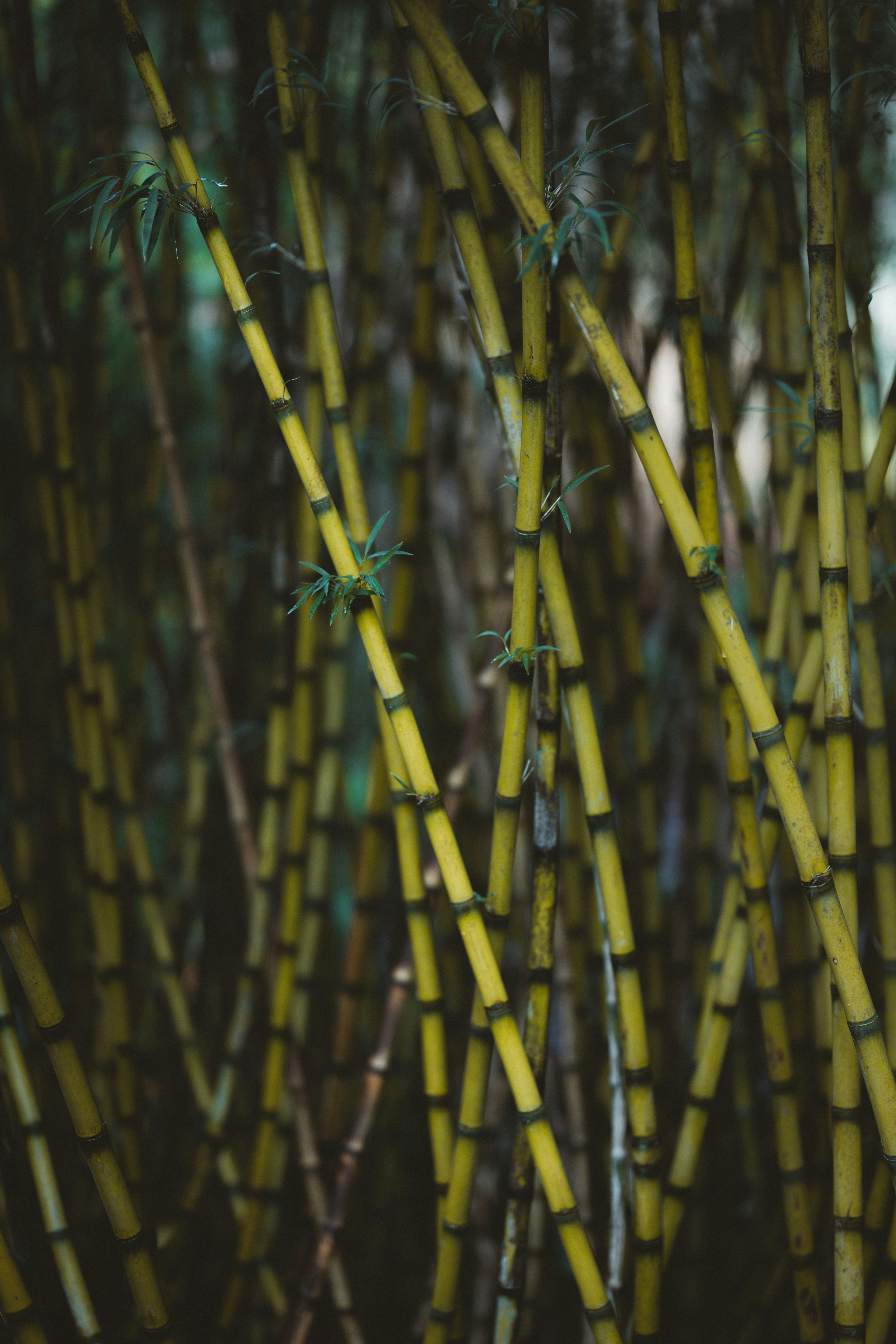 Photo by anniespratt