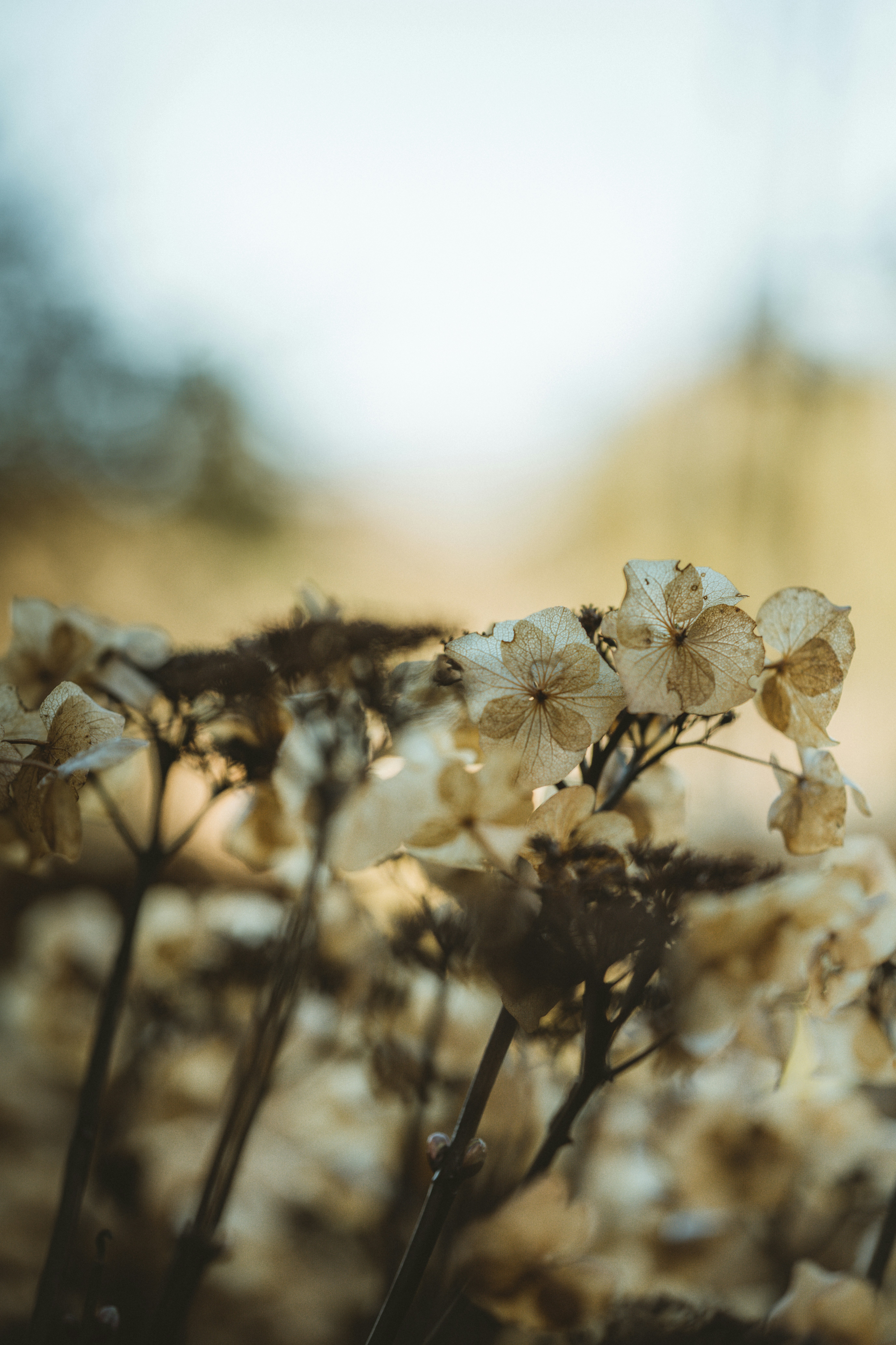 Photo by anniespratt