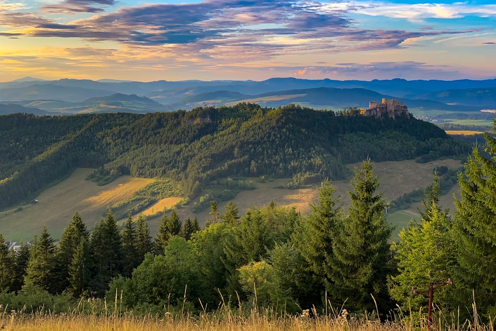 green trees on mountain during daytime