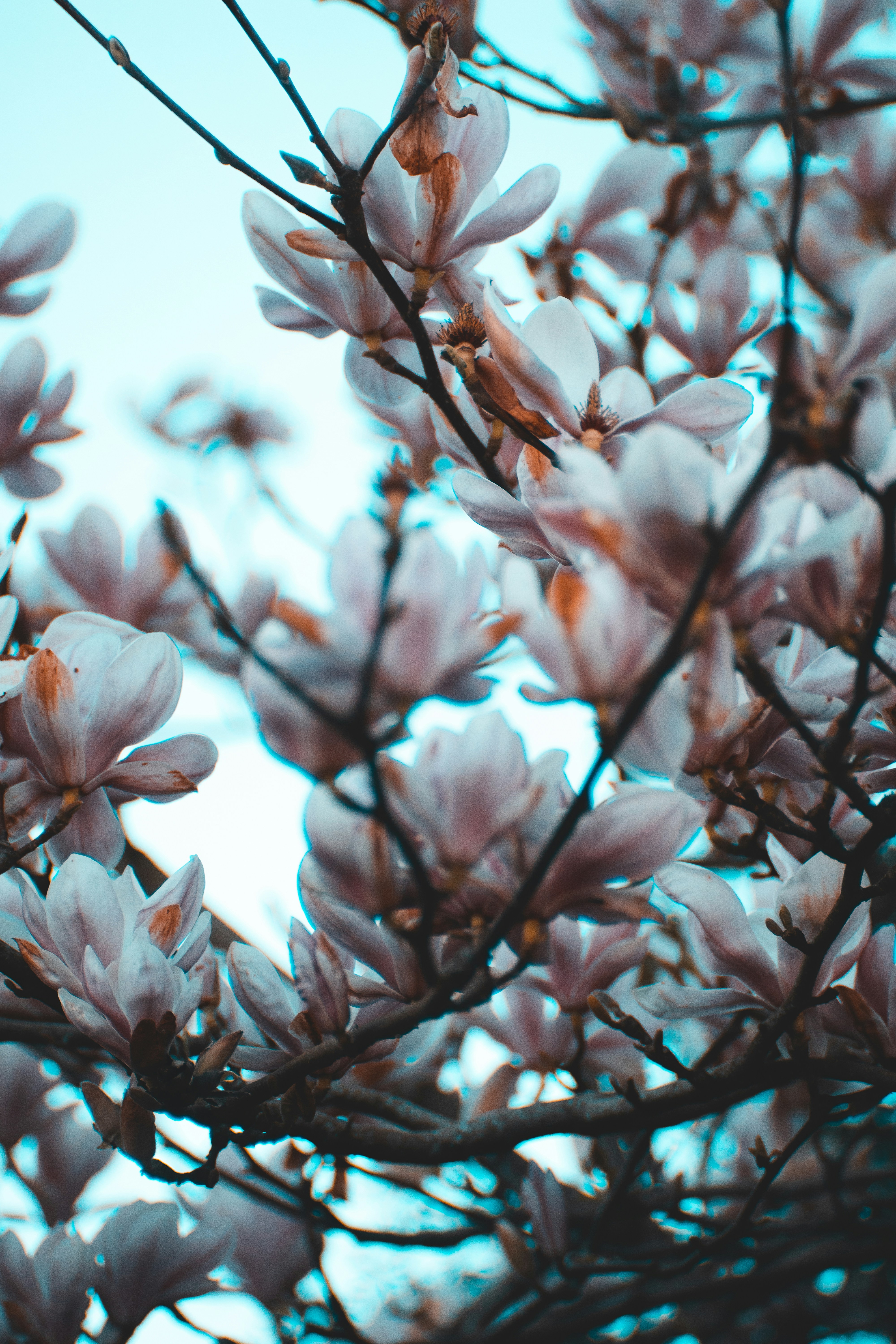 Photo by raduioaniancu