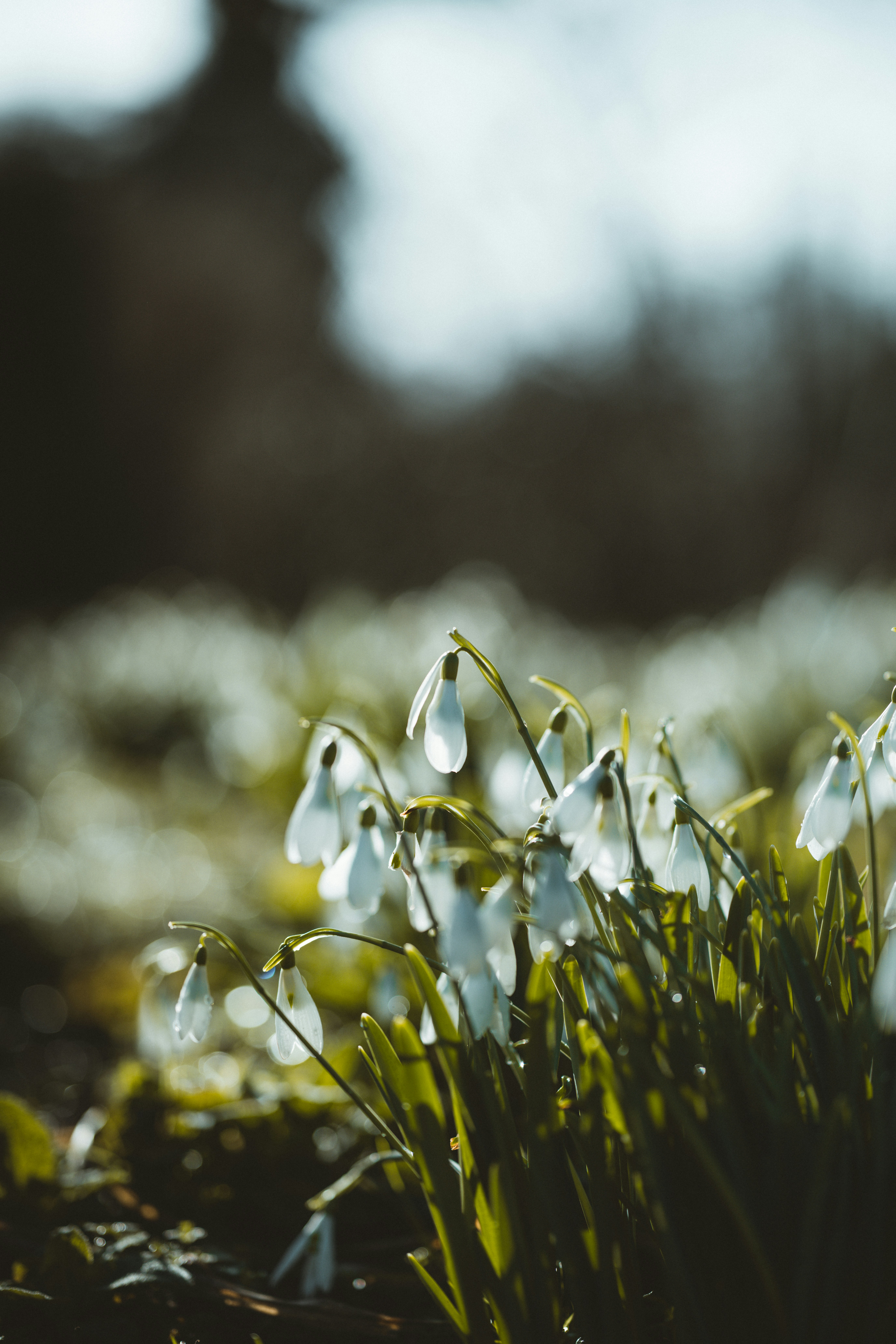 Photo by anniespratt