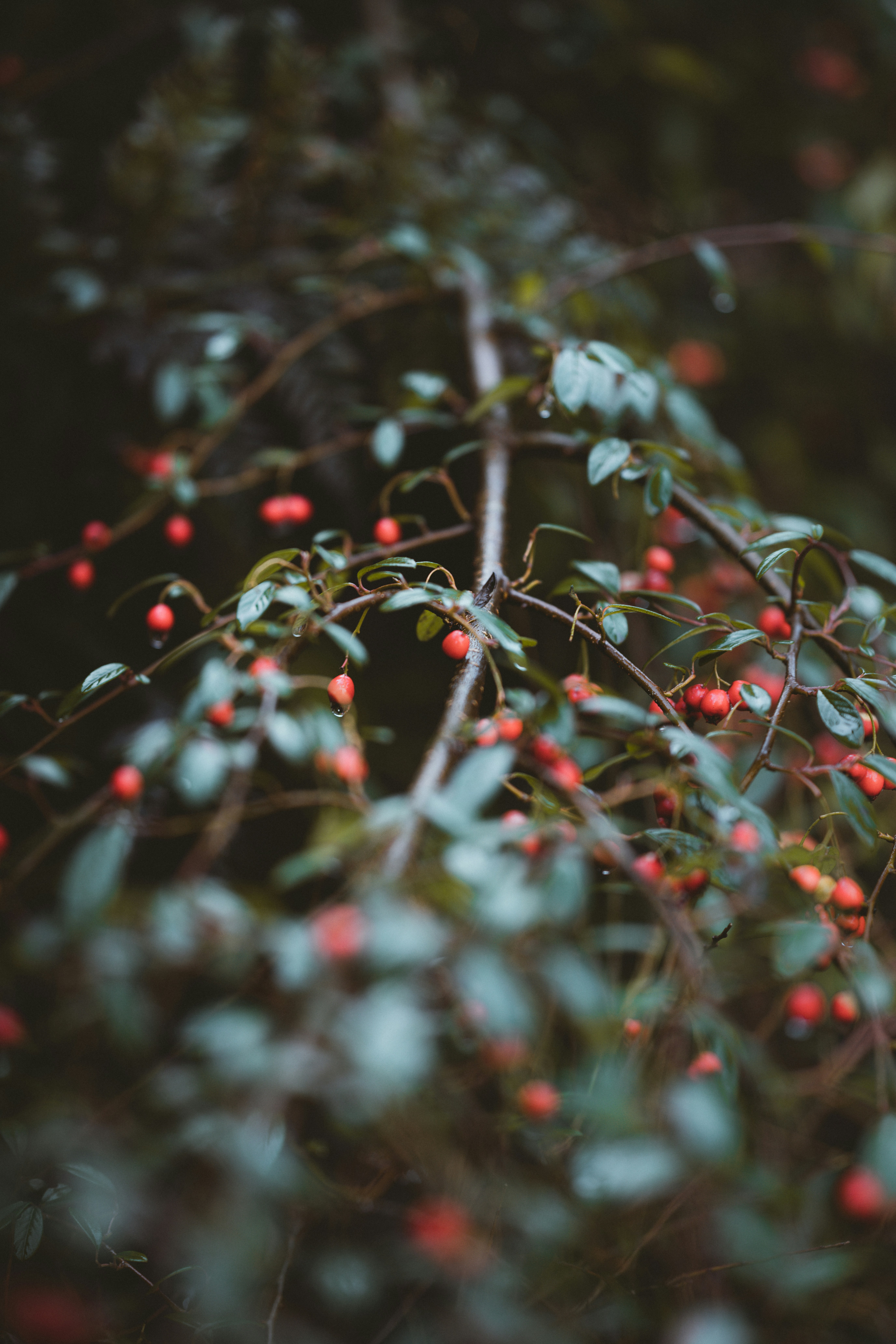 Photo by anniespratt