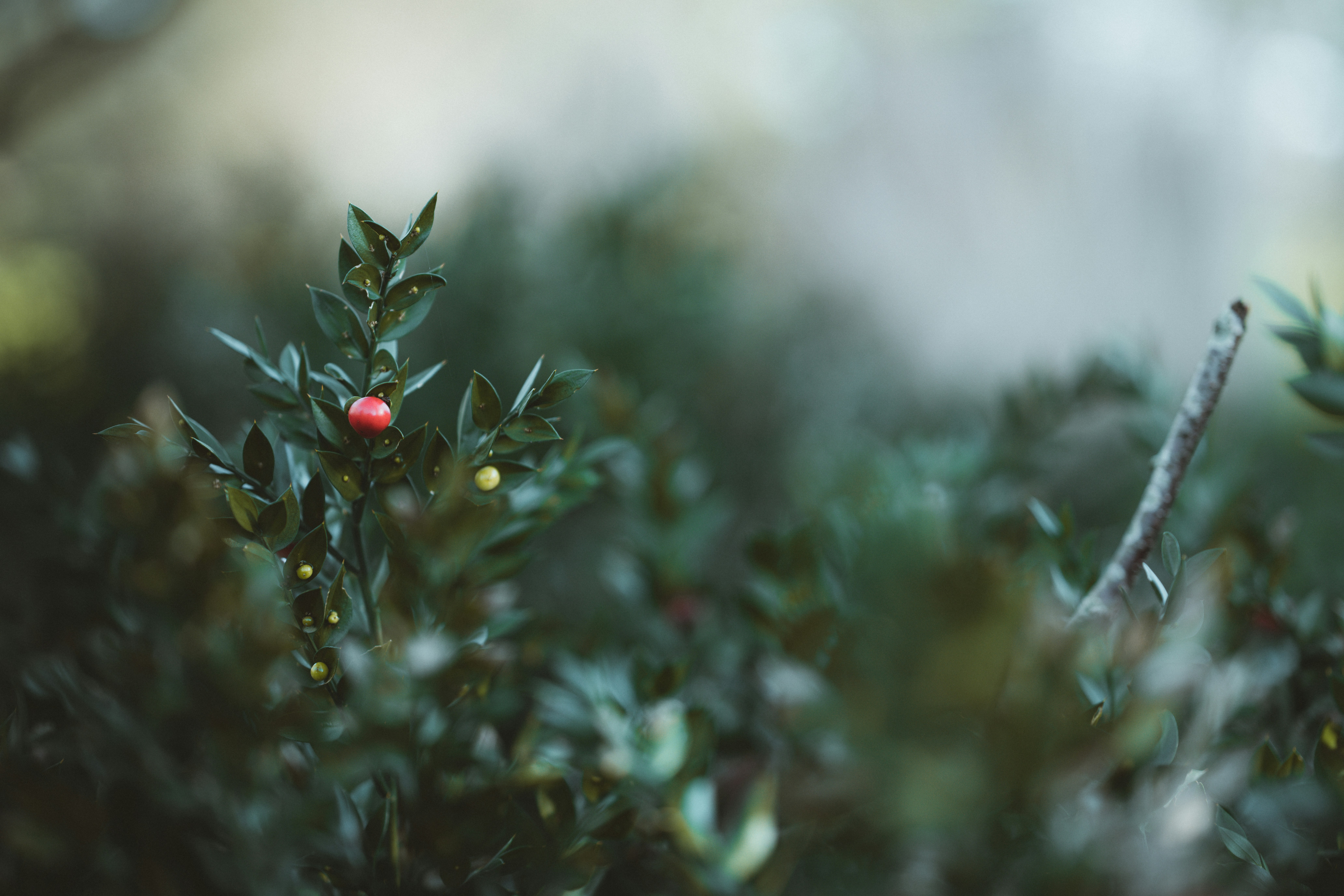 Photo by anniespratt