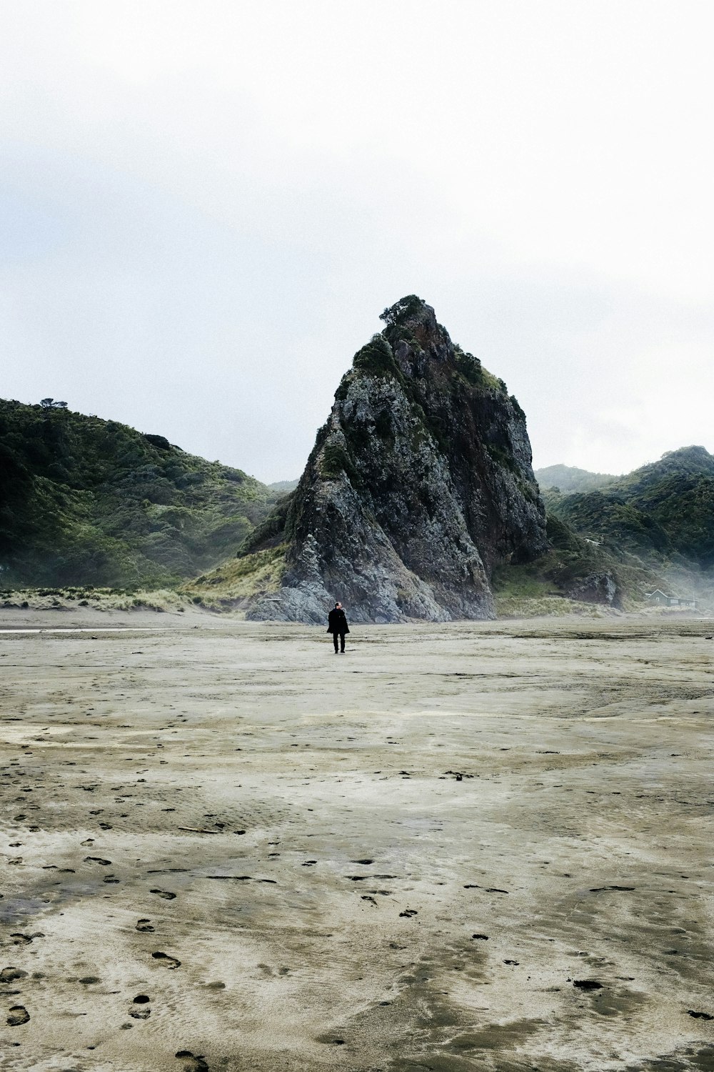 person walking on beach near green mountain during daytime