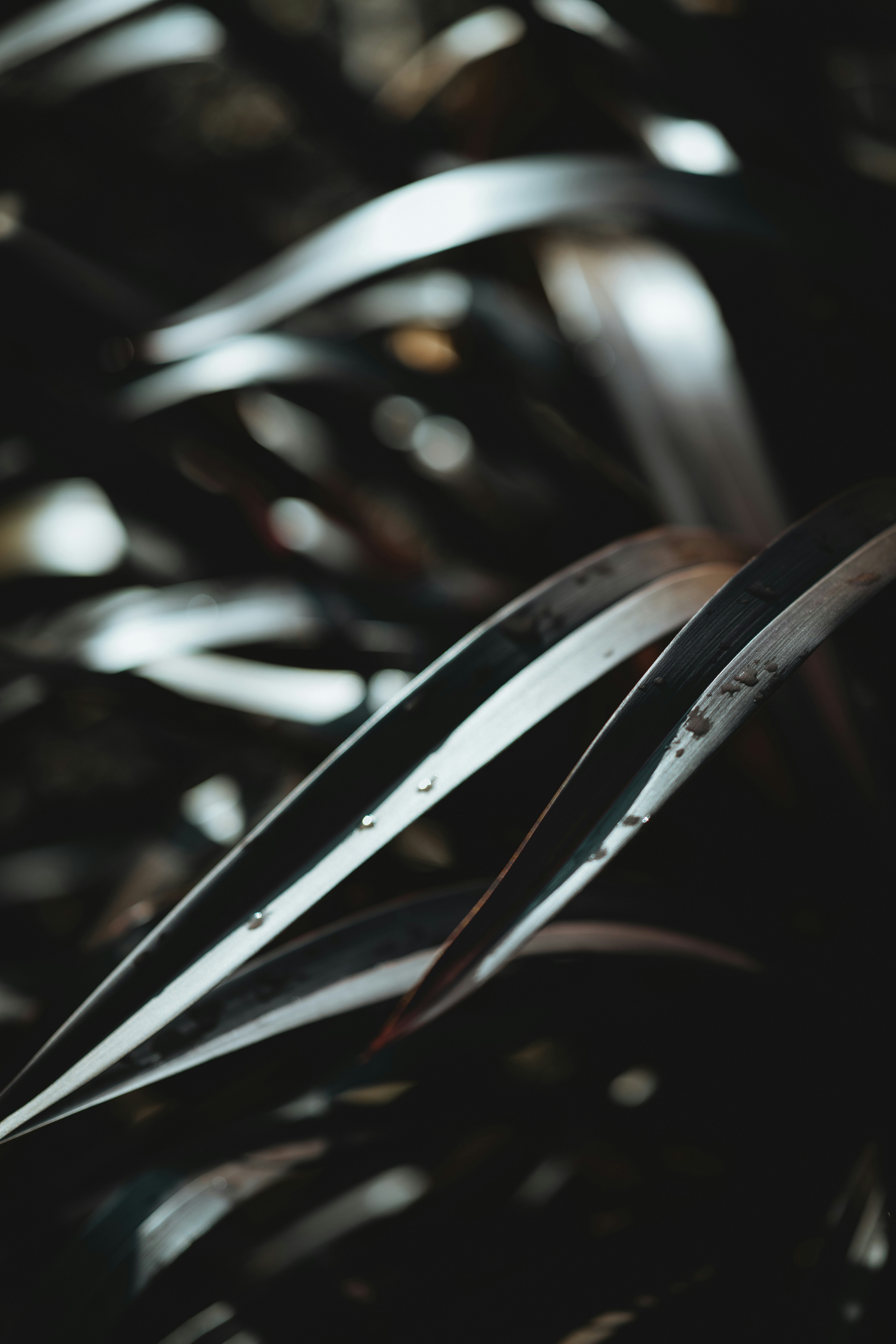 Photo by anniespratt