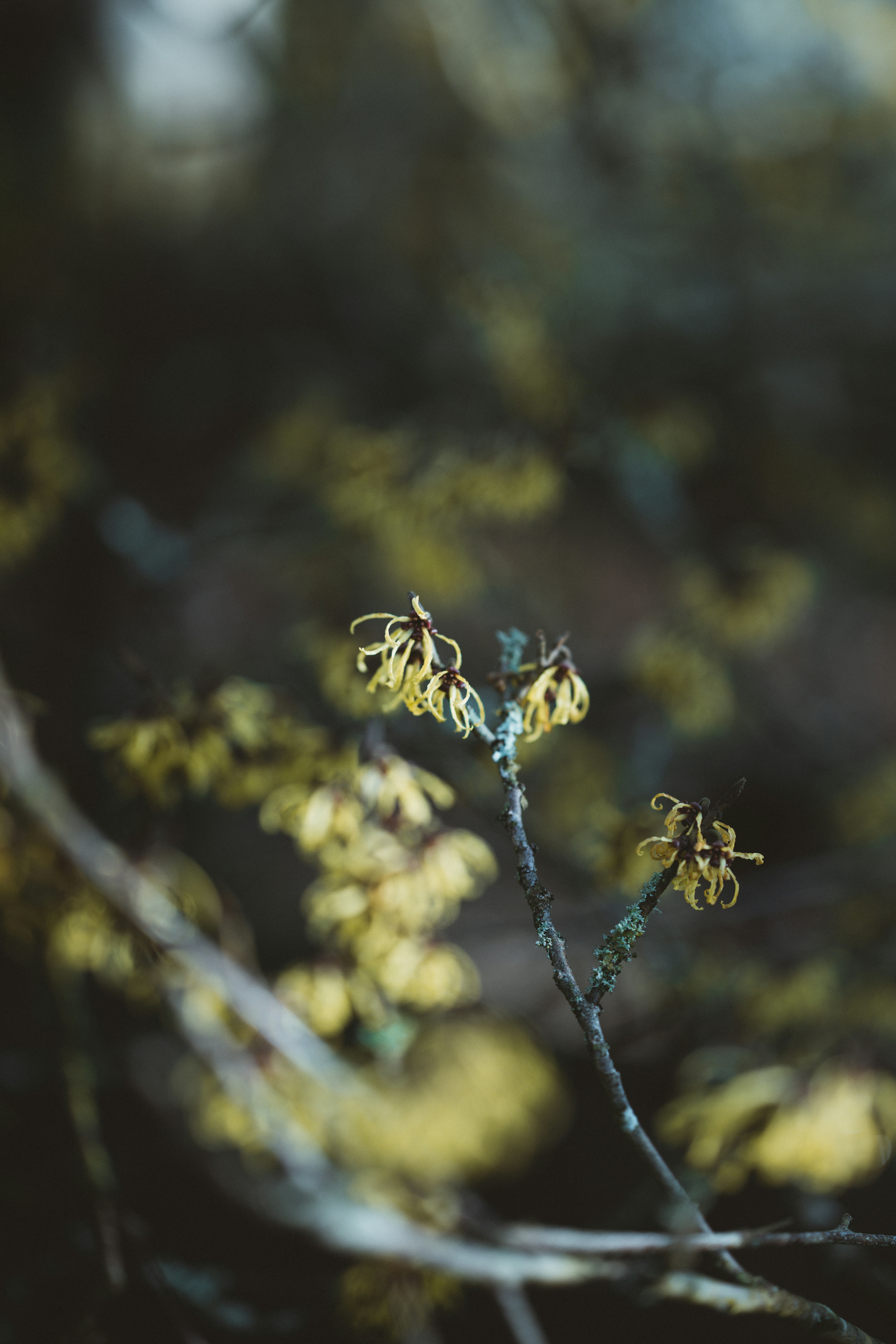 Photo by anniespratt