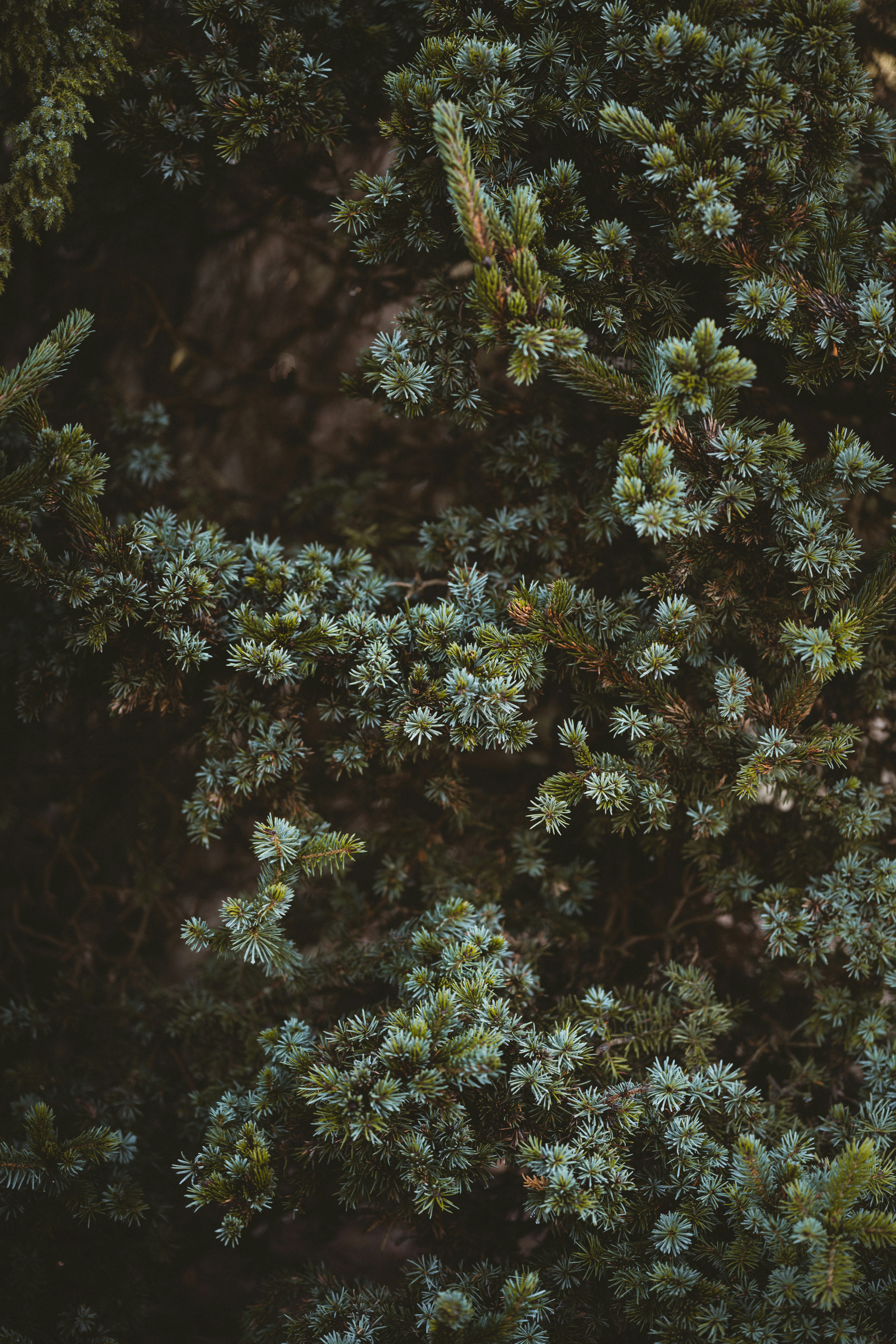 Photo by anniespratt