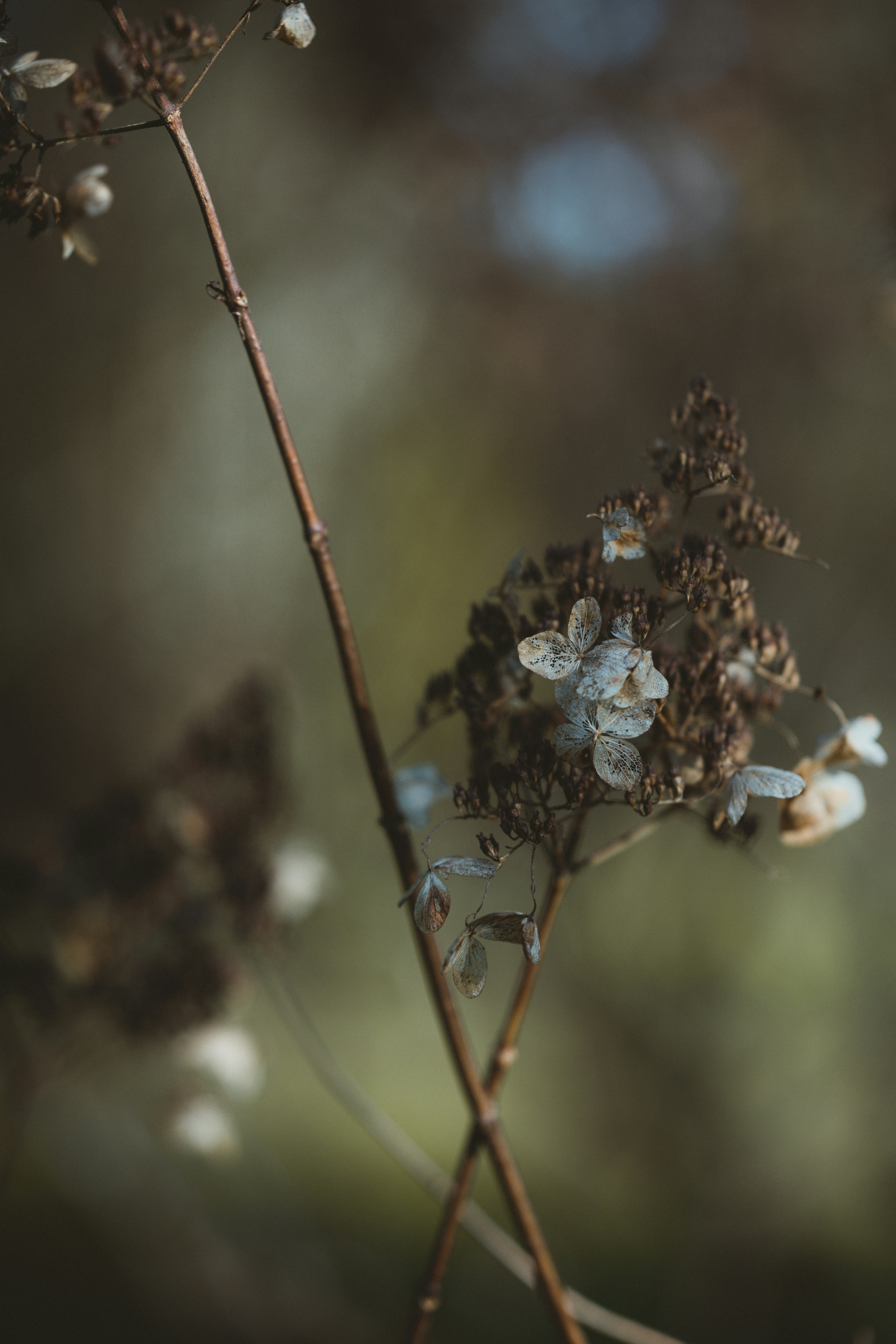 Photo by anniespratt