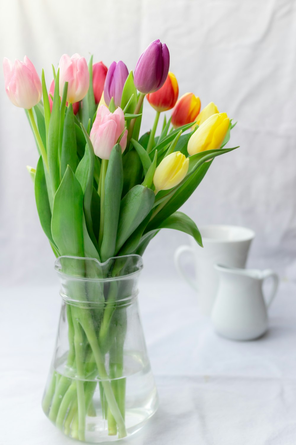 pink and yellow tulips in clear glass vase