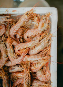 Close-up of fresh frozen shrimp packed in bulk ready for shipment.