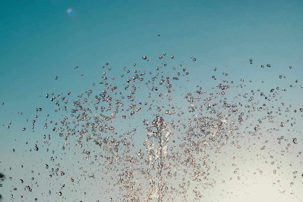 water droplets on glass during daytime