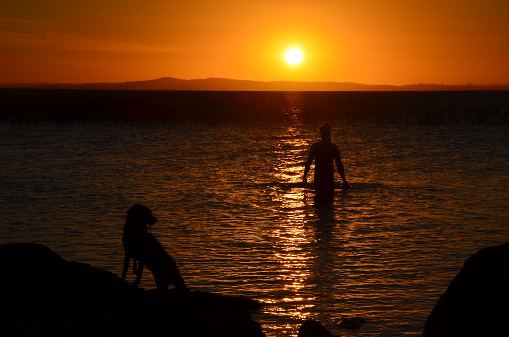 silhouette of 2 person standing on water during sunset