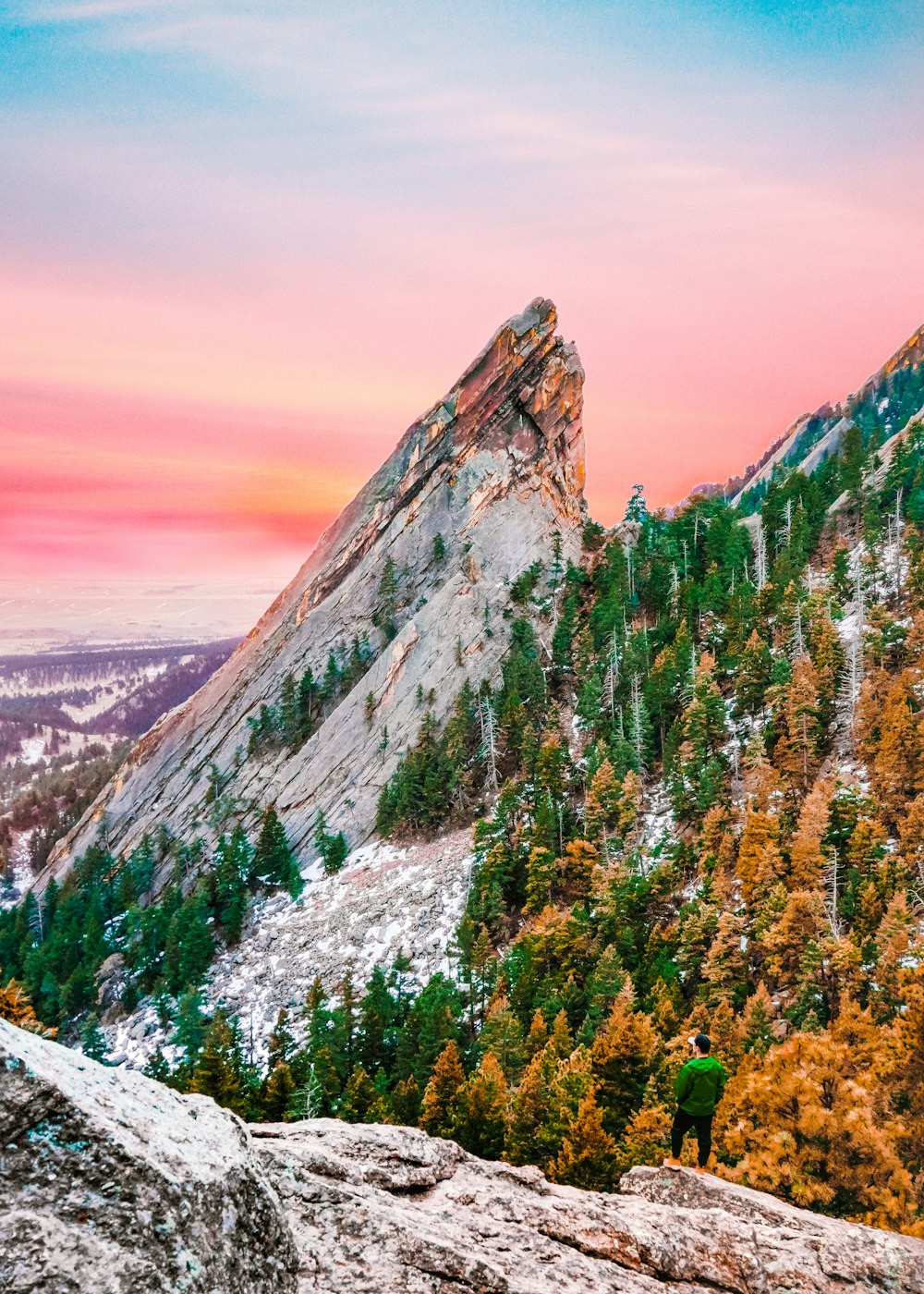 green trees on mountain during daytime