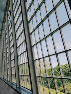 Close-up of a newly installed OpenView screen wall showcasing clear visibility.